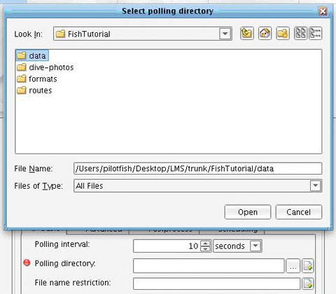 Directory Adapter Polling Directory