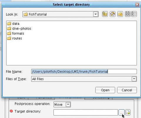 Directory Adapter Target Directory Panel