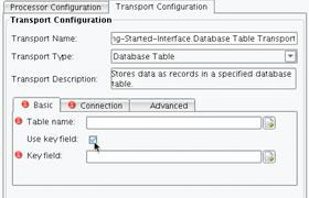 Database Table Transport keyfield name