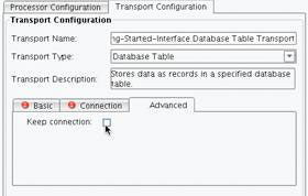 Database Table Transport Advanced tab