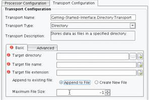 Directory Transport Basic configuration tab